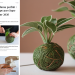 Créez un kokedama parfait : le tuto étape par étape pour 2026