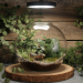 Votre terrarium à salamandre : créer un paradis miniature chez vous